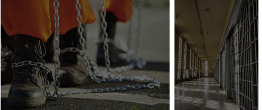 Reflex Protect Tactical: The Less-Lethal Precision for Close Quarters